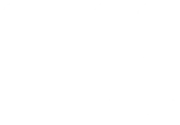 GranPro
